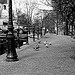 Scenery by Canal