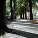 Hietaniemi during fall