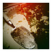 Omelette pie