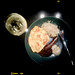 A Late Luncheon On A Gloomy October Sunday